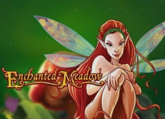 волшебный луг с fairies от playngo